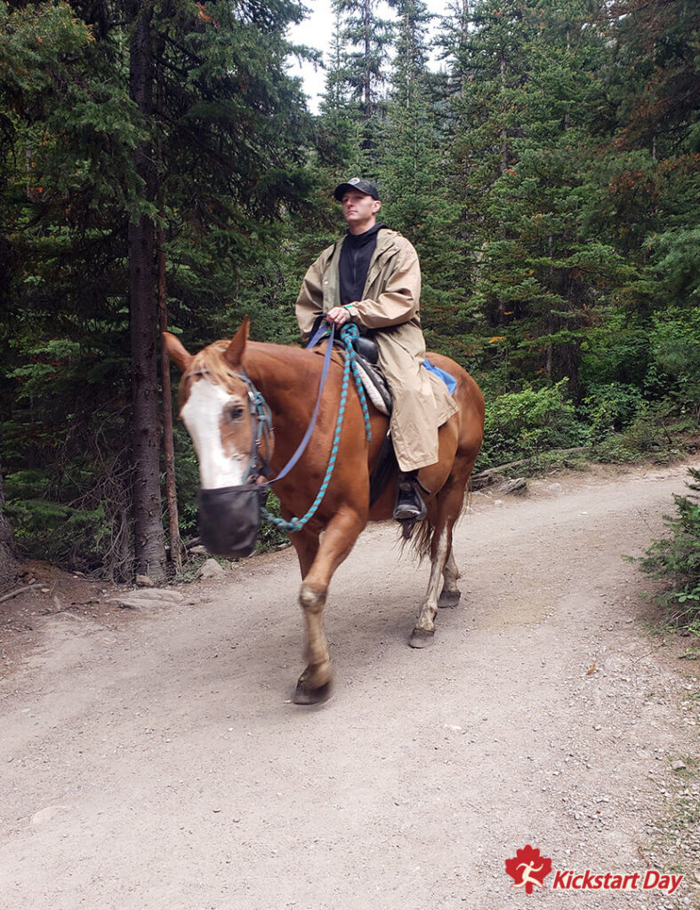 Man on horse